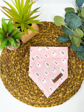 Load image into Gallery viewer, Spice Ghouls