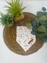 Load image into Gallery viewer, Carrot Cutie