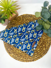 Load image into Gallery viewer, Yellow Jackets