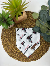 Load image into Gallery viewer, The Falcons
