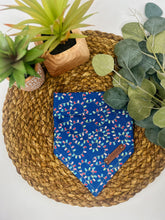 Load image into Gallery viewer, Let There Be Lights