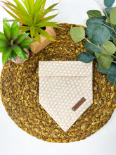 Load image into Gallery viewer, Pumpkin Roll