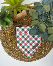 Load image into Gallery viewer, Checkin’ It Twice