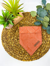 Load image into Gallery viewer, Autumn Arches