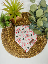 Load image into Gallery viewer, Naughty or Nice