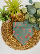 Load image into Gallery viewer, Candy Cane Forest