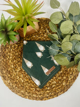 Load image into Gallery viewer, Chilling with my Gnomies