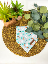 Load image into Gallery viewer, Roger Rabbit