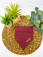 Load image into Gallery viewer, Sippin’ Cider