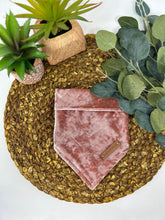 Load image into Gallery viewer, Moody Mauve