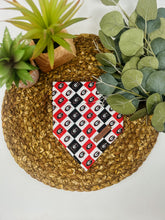 Load image into Gallery viewer, Checkered Dawg Pride