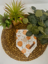 Load image into Gallery viewer, Watercolour Pumpkin Patch