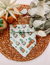 Load image into Gallery viewer, Shenanigans Squad