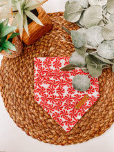 Load image into Gallery viewer, Mint to Be