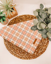 Load image into Gallery viewer, Spiced Cider