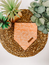 Load image into Gallery viewer, Peony Paradise