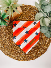 Load image into Gallery viewer, Stars and Stripes