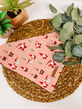 Load image into Gallery viewer, The North Pole