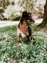 Load image into Gallery viewer, Just Dandy