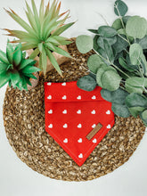 Load image into Gallery viewer, XoXo