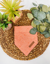 Load image into Gallery viewer, Rust to Rust