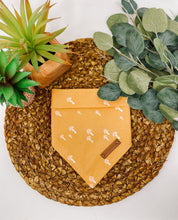 Load image into Gallery viewer, Mellow Mushroom