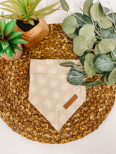 Load image into Gallery viewer, Desert Snowflake