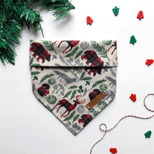 Load image into Gallery viewer, Forest Frolic