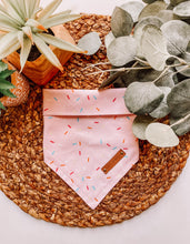 Load image into Gallery viewer, Sprinkle with Love