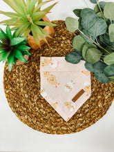 Load image into Gallery viewer, Sweet Egg-Scape