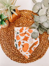 Load image into Gallery viewer, Warm and Cozy