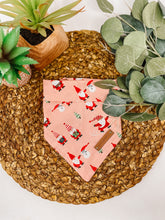 Load image into Gallery viewer, The North Pole