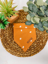 Load image into Gallery viewer, Pumpkin Please