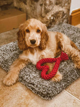 Load image into Gallery viewer, Rope Heart Tug Toy