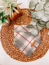 Load image into Gallery viewer, Freezin' Season