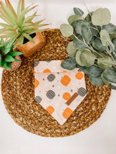 Load image into Gallery viewer, Pumpkin to Talk About