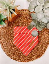 Load image into Gallery viewer, Peppermint Bark