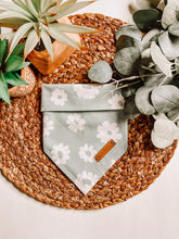 Load image into Gallery viewer, Life of the Paddy