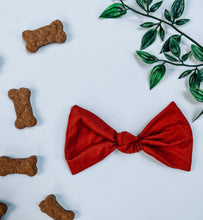 Load image into Gallery viewer, Autumn Bows (medium)