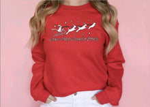 Load image into Gallery viewer, Santa Paws