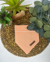 Load image into Gallery viewer, Rocky Top
