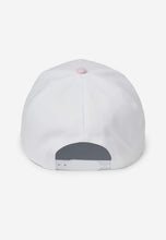 Load image into Gallery viewer, Pink Striped Dog Mom Hat
