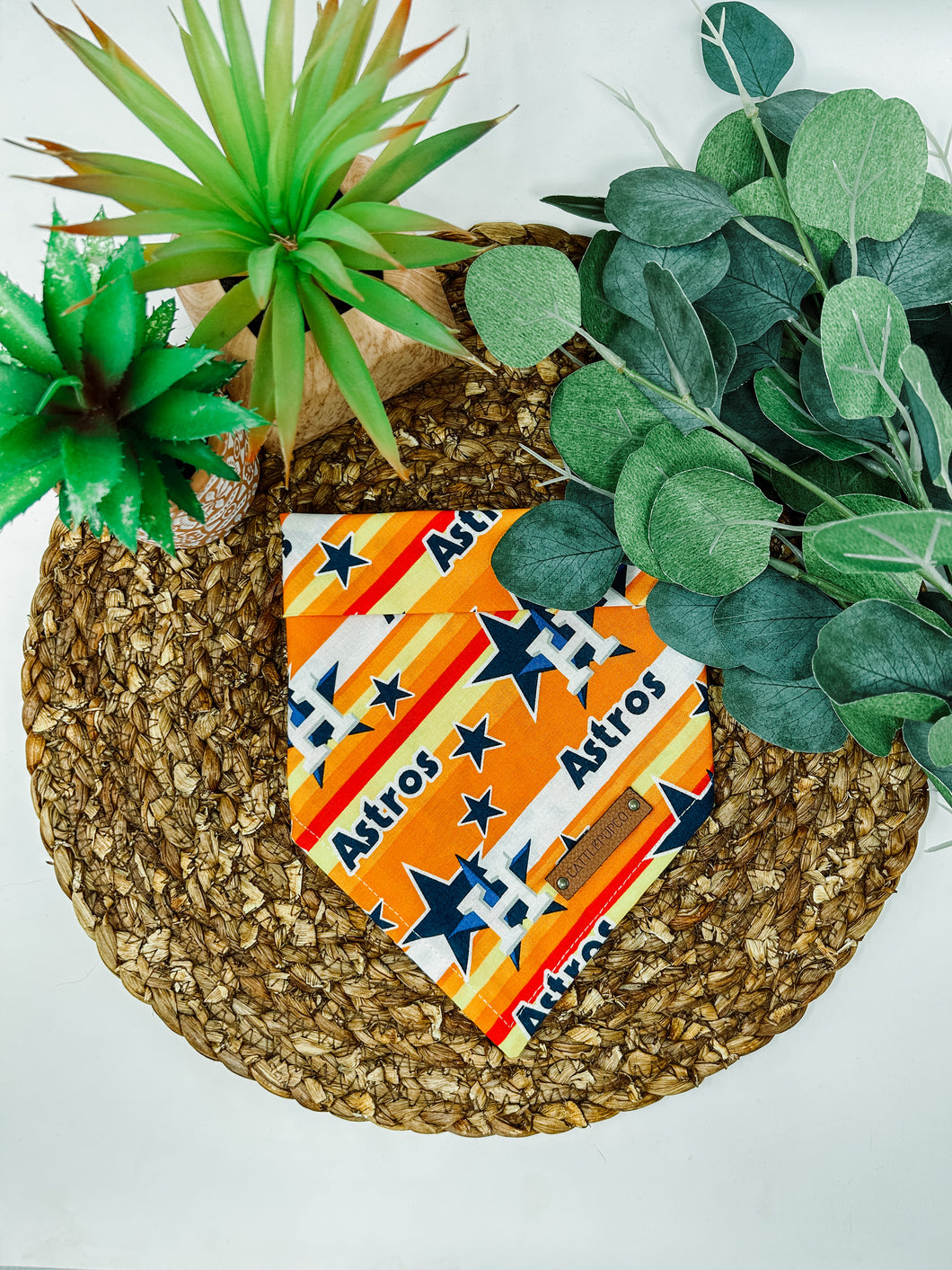 Houston Astros