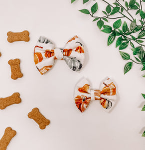 Oh My Gourd Bow Tie