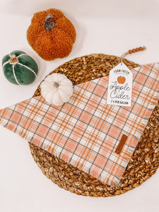 Spiced Cider