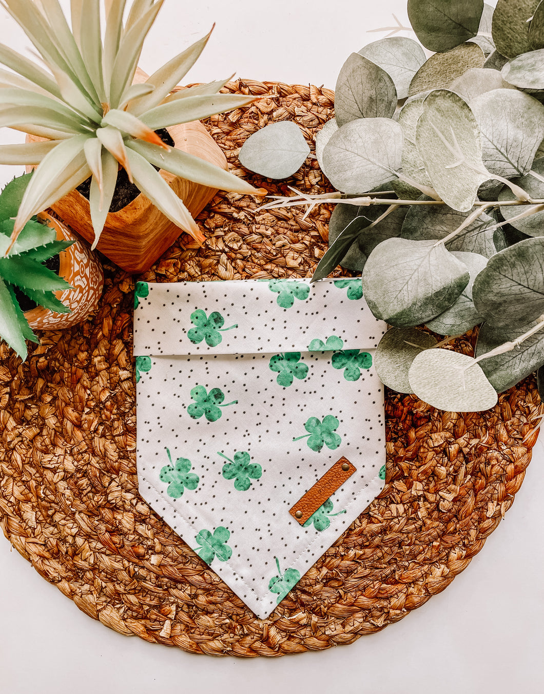 Sweet Shamrocks