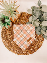Load image into Gallery viewer, Spiced Cider
