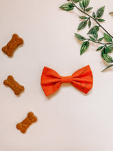 Load image into Gallery viewer, Bad to the Bone Bow Tie
