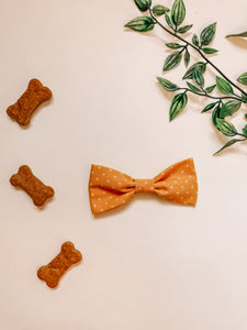Hello Gourd-geous! Hair Bow