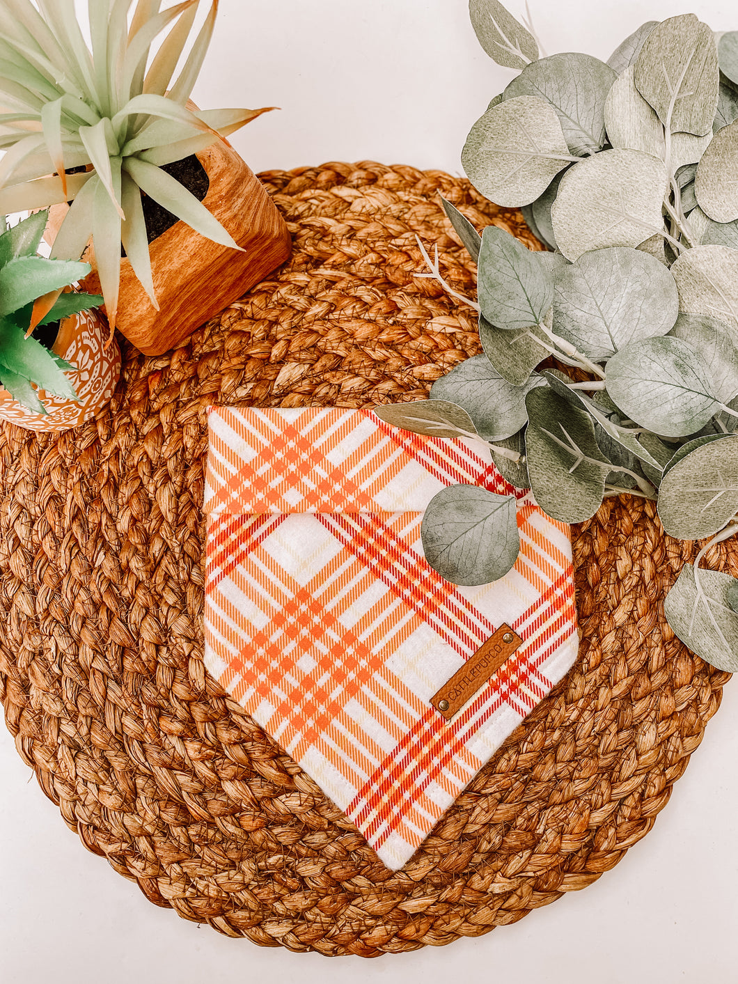 Orange You Plaid